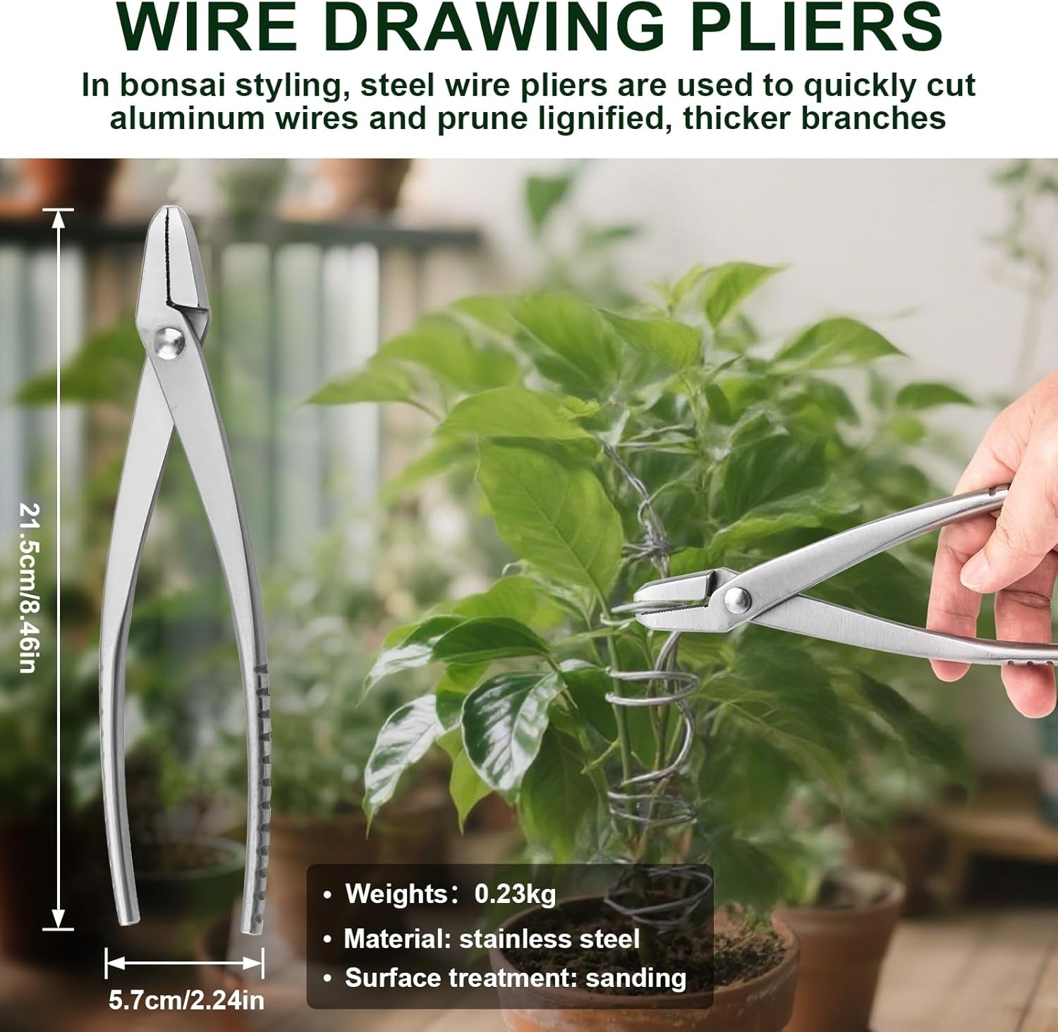 6 PCS Bonsai Pruning Tool Set, 6 Different Roles of Scissors to Meet All the Nee