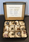 Schortmann's Minerals 9 Hardness Set & 12 Labeled Rock Mineral Specimens Geology — photo 2