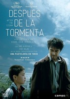 DespuéS De La Tormenta [Dvd]