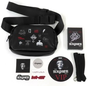 Lady Gaga Vip | eBay