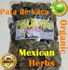 Pata de Vaca - Hojas pata de vaca - cow's foot  Bauhinia forficata 