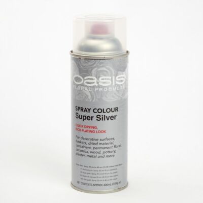 OASIS  Blumensprühfarbe 400ml für frische und getrocknete Blumen verschiedene Farben