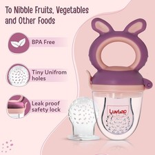 LuvLap Baby Food Nibbler BPA Free Silicone Pacifier Feeder with Extra Mesh