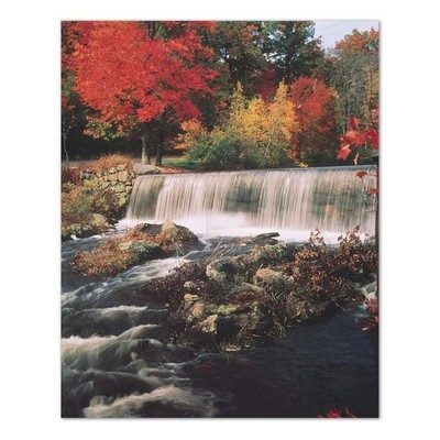 Waterfall Fall Trees Nature Outdoor Home Decor Wall Picture Art Print