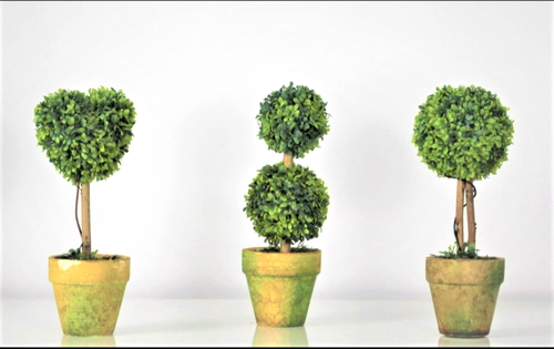 Mini Cute Topiary Boxwood Double Ball Tree In Pot - Picture 2 of 2