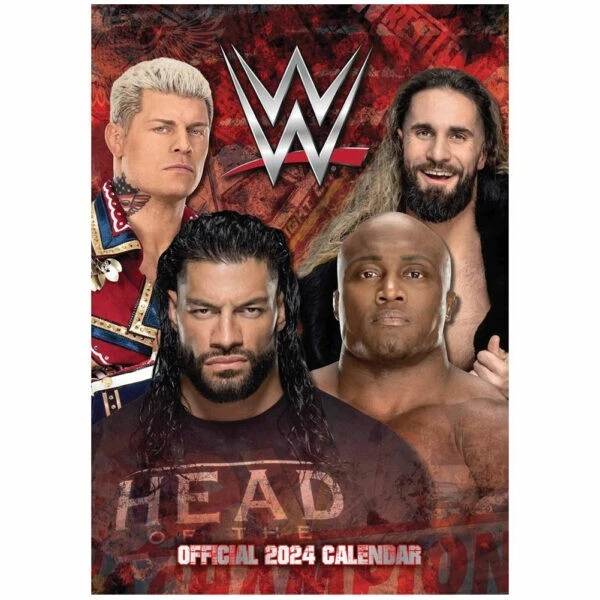 Wwe Top Merchandise Sellers 2024 Andra Blanche