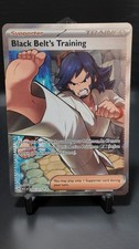 2026 Pokemon Ascended Heroes Black Belt's Training Ultra Rare #255/217