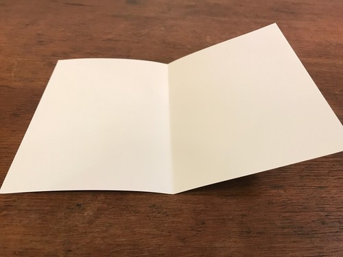 Reproduction 1908 Wood's High Grade Seeds Catalogue Blank Greeting Note Card E1 - Picture 2 of 4