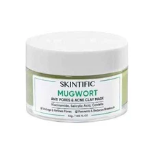 SKINTIFIC Mugwort Mask Anti Pores & Acne-Deep Cleansing Calming Bumps & Acne 55g