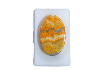 Bumble Bee Eclipse Cabochon 37,5x24 mm 36 ct. Nr. U30846