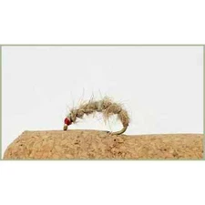 Nymph Trout flies, 6 killer Larva Bug, Choice of Sizes available, Fishing Flies