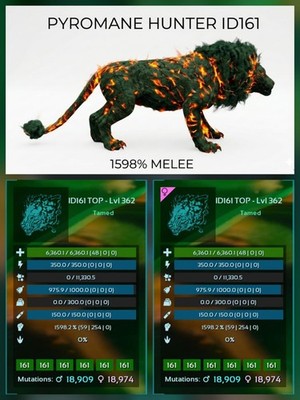 Pyromane Top Stats BABY PAIR  Ark Survival Ascended Official PVE PC/XBOX/PS5