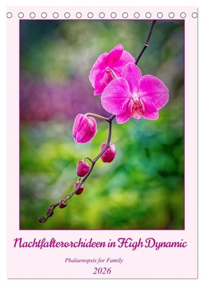 C. Stenner | Nachtfalterorchideen in High Dynamic (Tischkalender 2026 DIN A5...