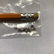 Qty 10 of 3mm Round Beads Pale Color Wampum Quahog