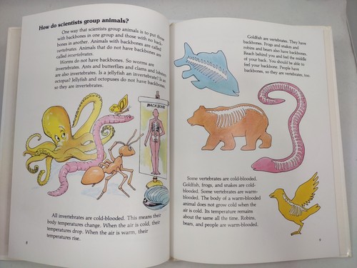 The Question & Answer Book Series Hardcover (Lot of 4) - Picture 8 of 11
