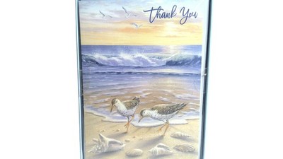 Red Farm Studio Thank You Note Cards Box 10 Count Blank Beach Birds Ocean Blue