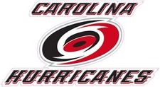 NOT A PATCH Carolina Hurricanes Hockey HTV Heat Transfer Vinyl Iron On