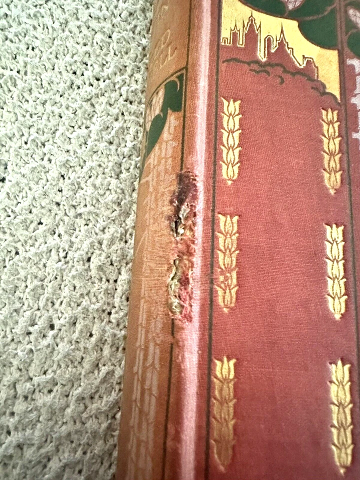 1907, 1st Ed., Canada, Painted by T. Mower Martin, Author: W. Campbell, Illust. Foto 3 de 4