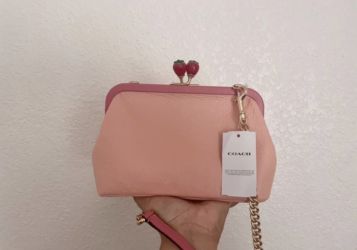 Coach Nora Kisslock Crossbody With Strawberry C8401 | eBay