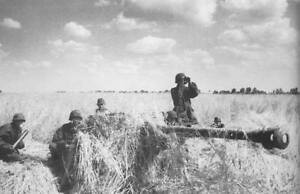 WWII Photo German Pak 40 7 5cm Gun Eastern Front WW2 B W 