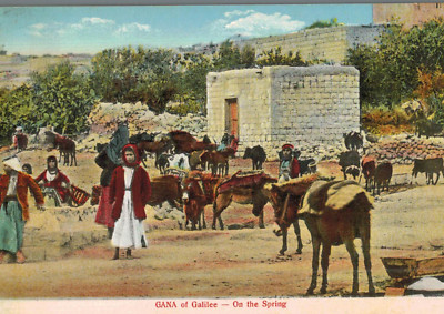 VIntage Postcard-GANA of Galilee, on the Spring, Isreal