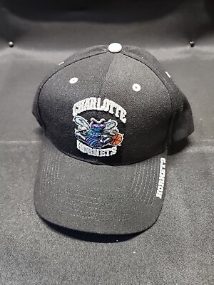 Charlotte Hornets twins enterprise