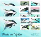 falkland islands 2012 whales and dolphins set on 3 fdc MT PLEASANT