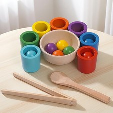 Color Sorting Toys Balls in Cups Color Sorter