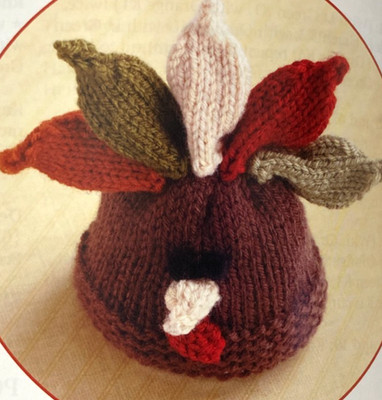 Warm Hats For Wee Noggins: knitting pattern book pumpkin turkey beanies reindeer
