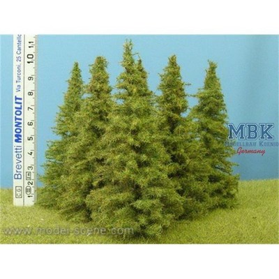 Model Scene MSC-MO100 Lärche / Larch 9-11 cm  6x