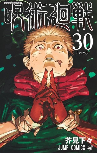 Jujutsu Kaisen Volume 30 Vol.30 Newly Issue JUMP Comic Manga Japanese Japan NEW