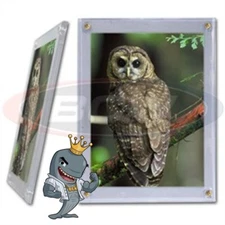 BCW Screwdown 5x7 Photo Holder FREE SHIP