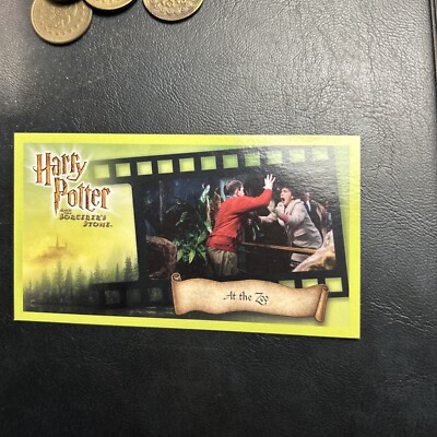 Harry Potter And The Sorcerer Stone Movie 2001 #41 Dudley Harry's Cousin