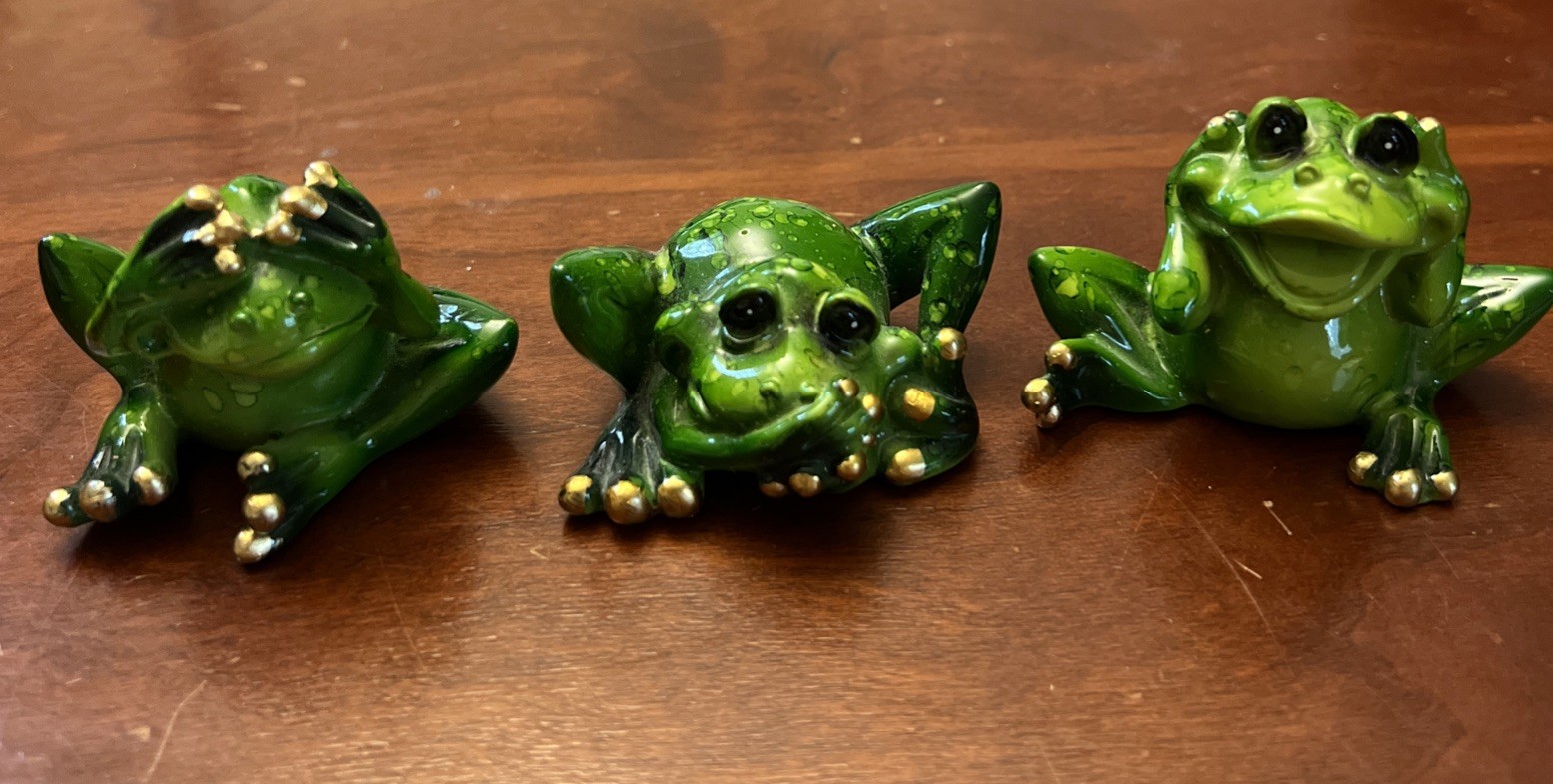 Frog Set