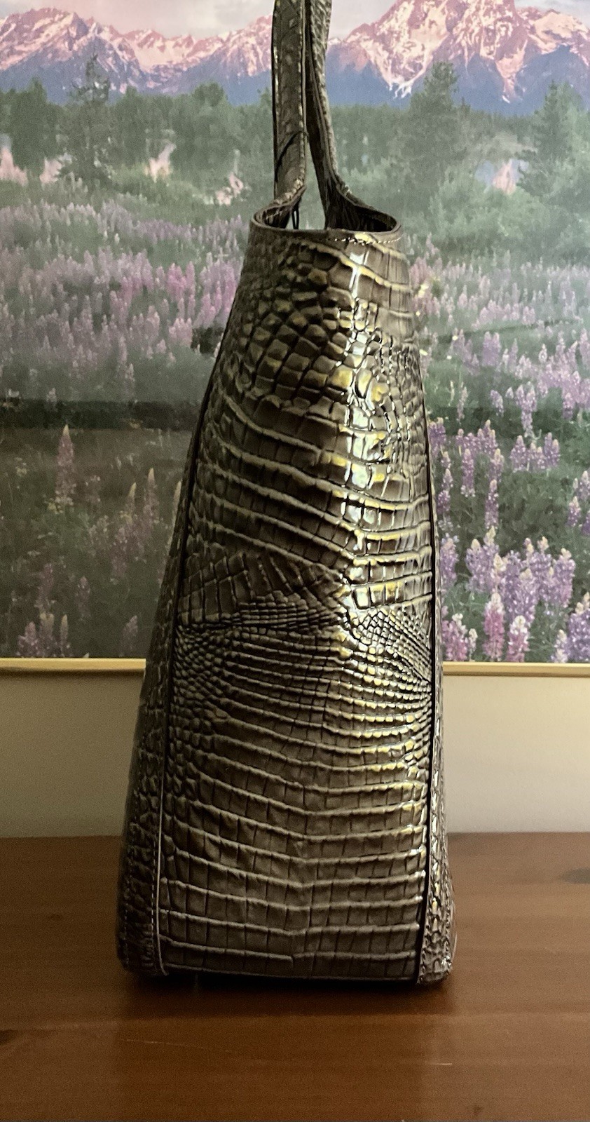 Picture 4 of 13