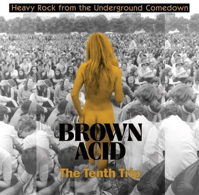 Various Artists - Brown Acid - The Tenth Trip (Various Artists) [New Vinyl LP]