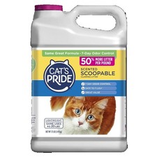 Scoopable Clumping Cat Litter Low Dust Natural Fresh Scent 12 lb Jug