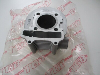 TGB Cappuccio 125 Express 125 R125X 303R Hawk 125 Delivery 125 Zylinder 400021
