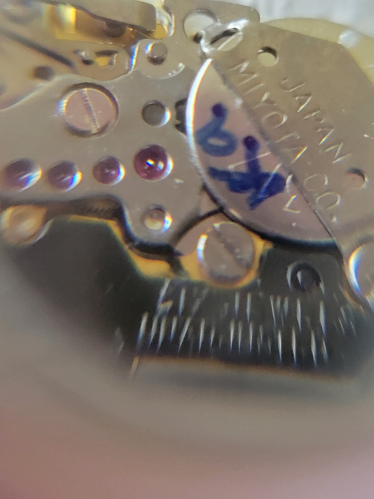 Picture 10 of 15
