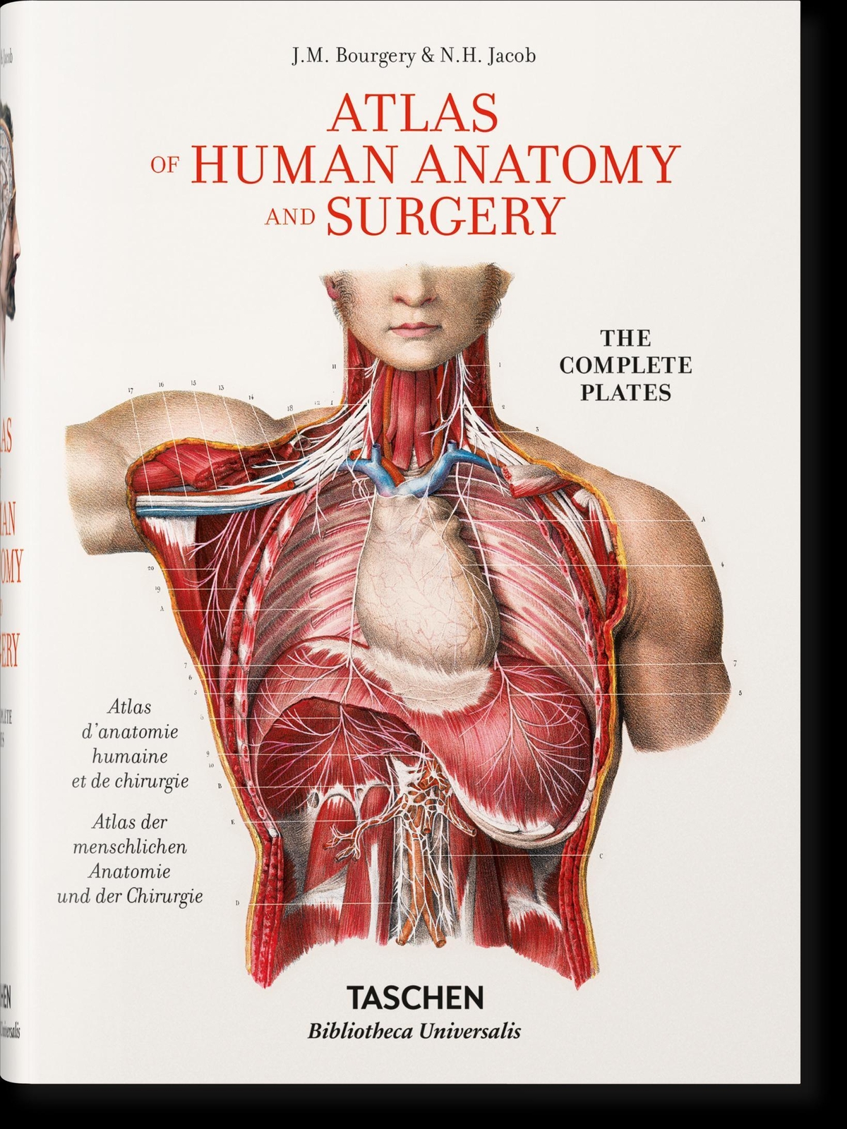 Thumbnail - Jean Marc Bourgery. Atlas Of Human Anatomy And Surgery | Jean-marie Le