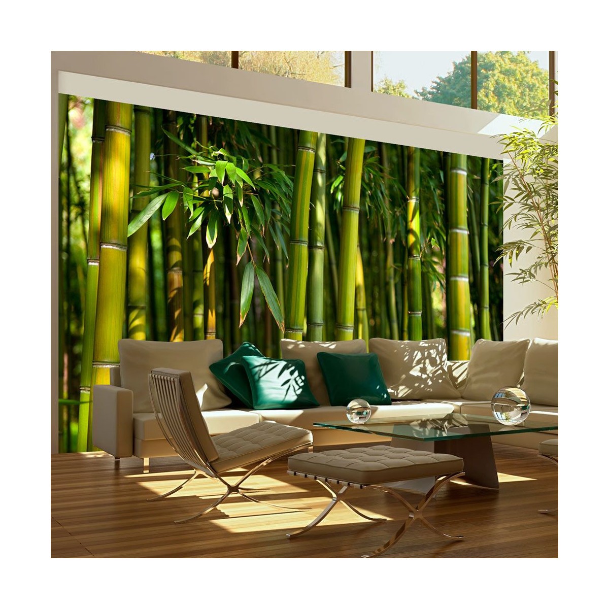 Papier peint forêt de bambous asiatique II 450x270 cm grand panoramique intissé salon bed