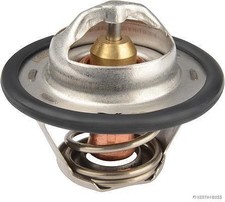 Thermostat Renault VEL SATIS