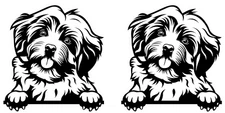 Havanese Peeking 2 Pack Vinyl Decal Car Truck Window Laptop Tablet Tumbler
