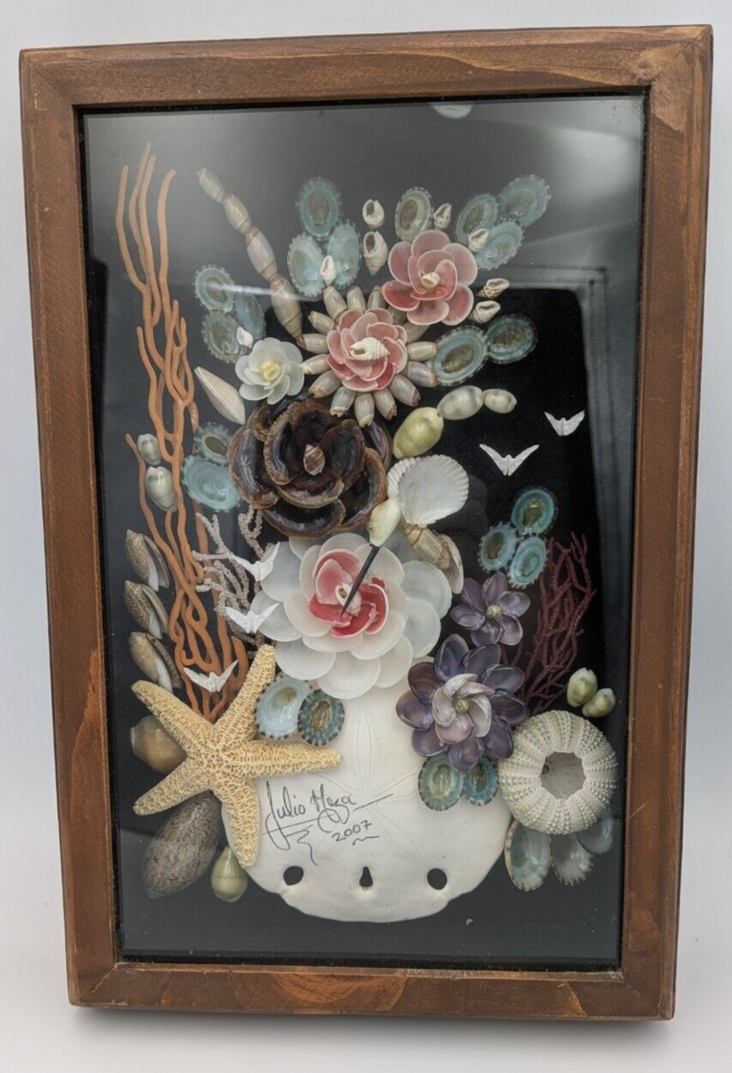Julio Guadalupe Meza Seashell Shadow Box Art 12x8 Inch Coastal