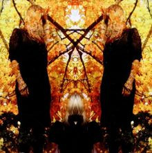 Feel It Break (Deluxe Edition) von Austra | CD | Zustand gut