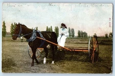 Woman Postcard Riding Horse Carriage Spring Valley Minnesota MN 1913 Antique