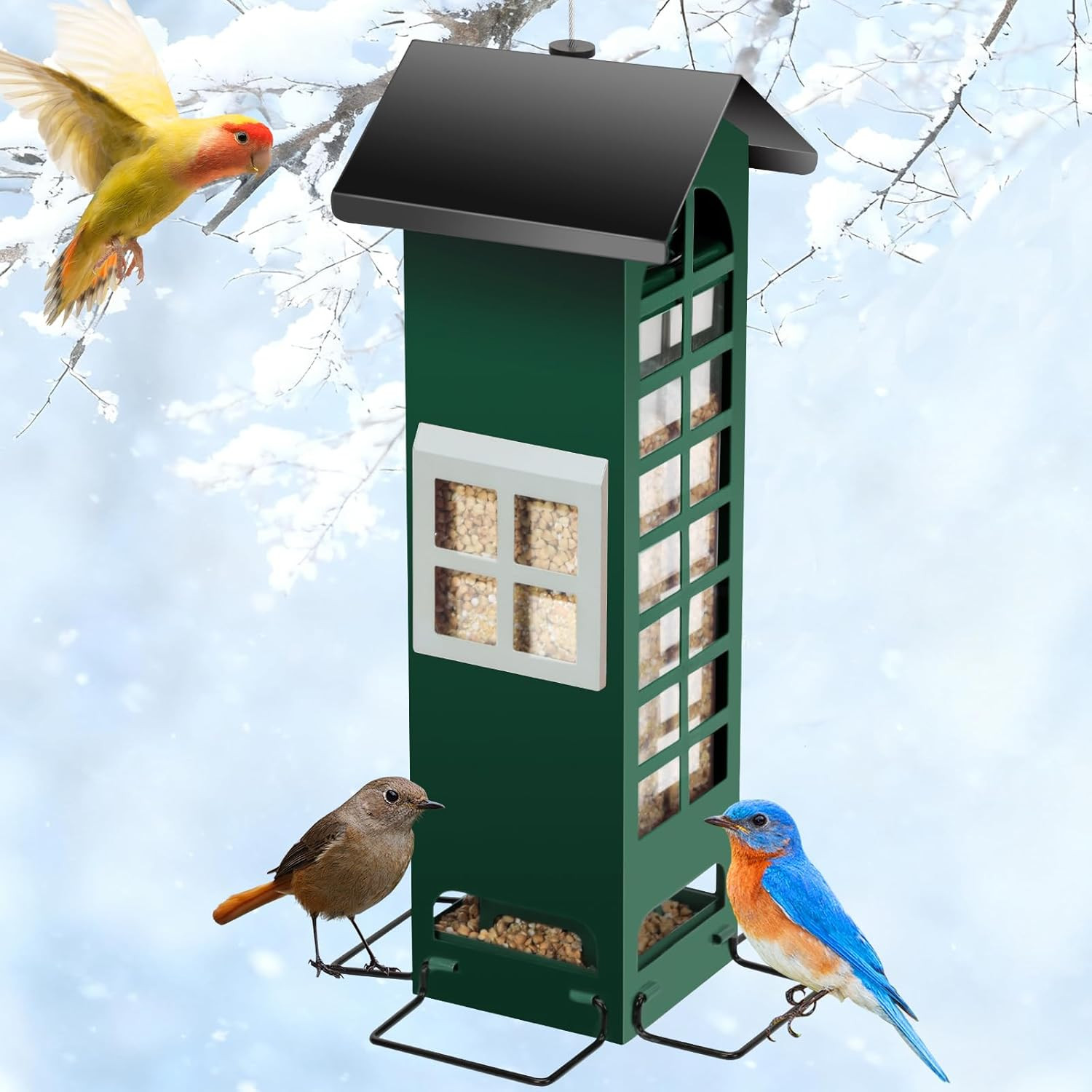 Squirrel Proof Gravity Protection- Blue Jay Metal Bird Feede