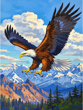 Eagle 5D Diamond Painting Kit, Full Drill, Adults Beginners 12x16 Wall Decor DIY