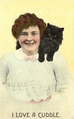 Schwarze Katze, ich liebe ein Kuscheln - Comic Postkarte N47