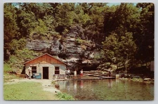 Marble Falls Arkansas Trout Fishing Rainbow Trout Farm Chrome Postcard Unposted